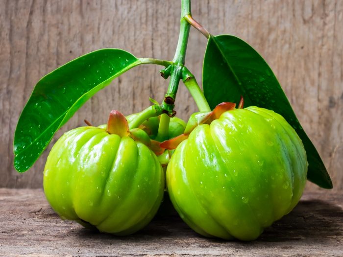 How To Use Garcinia Cambogia