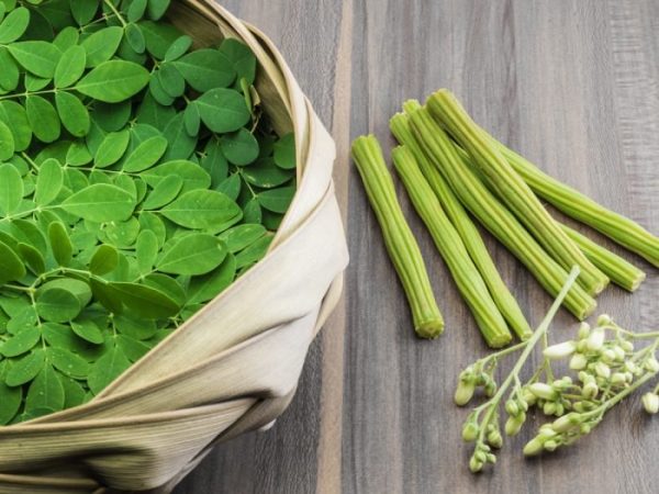 How To Use Moringa