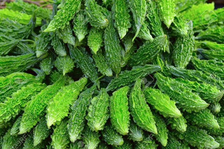 Karela For Diabetes