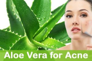 Aloe Vera For Face Care