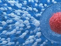 sperm count cures Zero