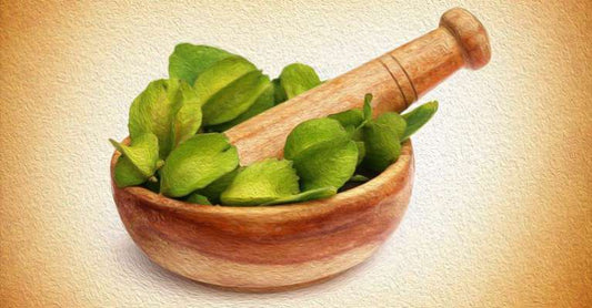 Arjuna For Heart Care