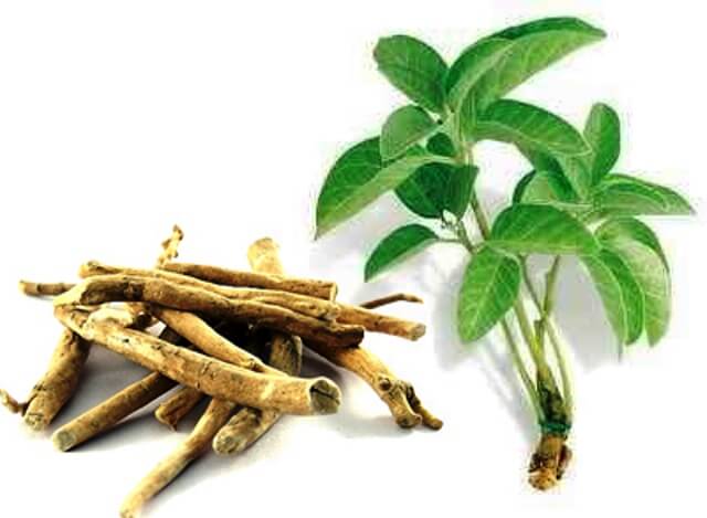 Ashwagandha For Sexual Health