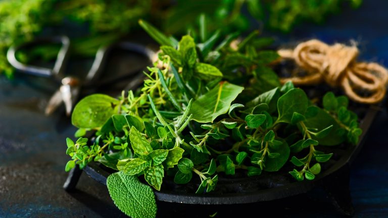 Ayurvedic Herbs For Hypertension