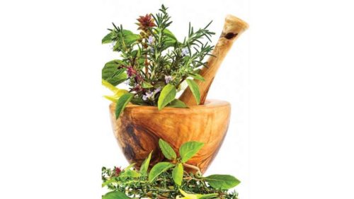 Ayurvedic Remedies For Urine Infections