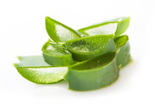 Benefits Of Aloe Vera For Overall Health