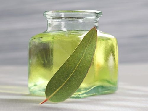 Best Nilgiri Oil Brand in India
