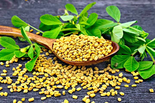Fenugreek For Hair Growth