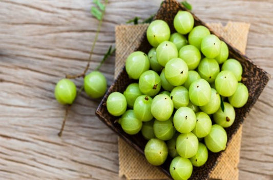 Top 10 Ayurvedic Amla Capsules In India