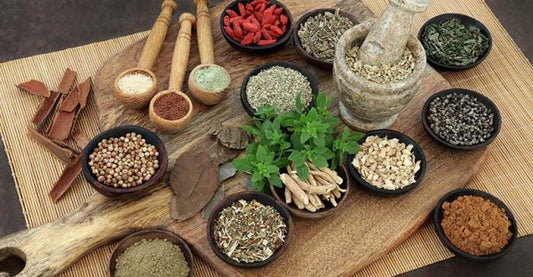 Top Herbs For Healing Wounds
