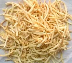 Top Ayurvedic Safed Musli Capsules