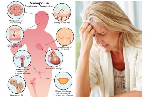 How Does Menopause Affect A Woman’s Body
