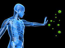 How to Naturally Boost Immunity From Covid