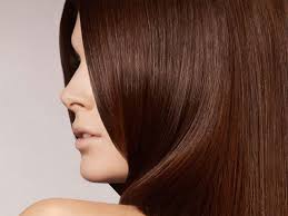Top Ayurvedic Herbs For Shiny Hair