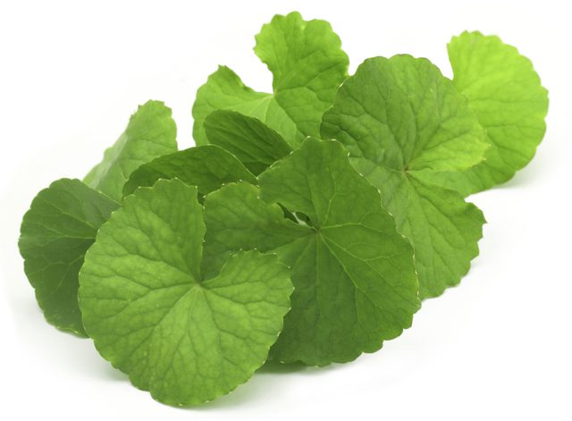 Top Ayurvedic Brahmi Capsules In India