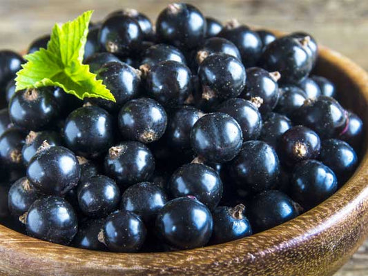 Top Health Benefits Of Jambu Beej