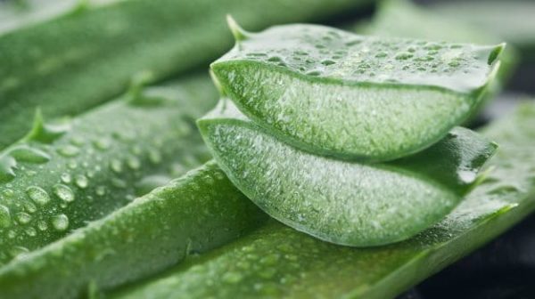 Top 10 Aloe Vera Capsules In India