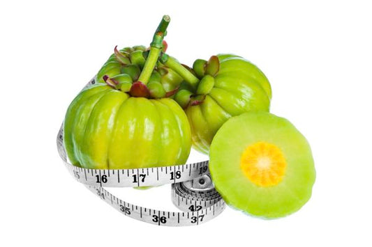 Top 10 Garcinia Cambogia Capsules In India