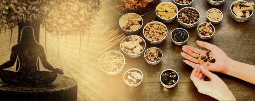 Best Hair Growth Supplements in India
