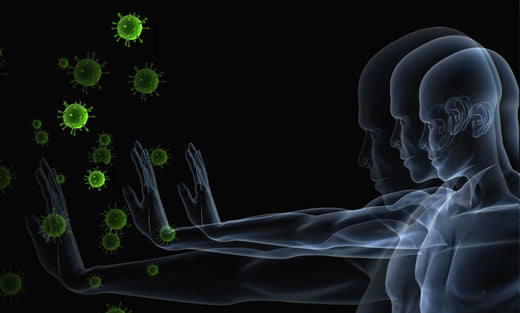 Ayurvedic Products For Immunity