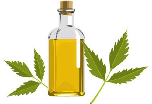 Top 10 Ways To Use Neem Oil For Hair Growth
