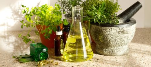 Top 10 Herbal Remedies To Treat Diabetes