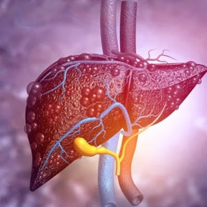 EARLY CIRRHOSIS CARE