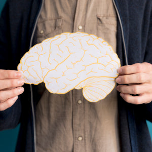 BRAIN AND COGNITION