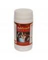 Buy Ayurvedic Protein Powder Online